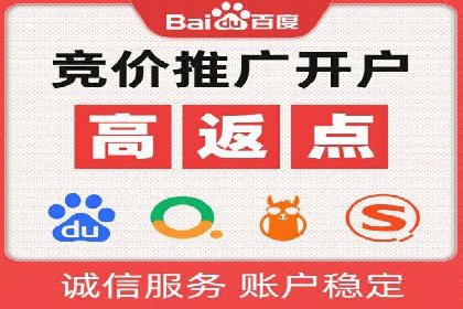 百度SEM推广案例解析：成功秘诀大公开